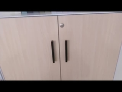 Dimagrisca il Governo che della porta a battenti del bordo 5mm i doppi strati placcano il Governo d'acciaio dell'ufficio